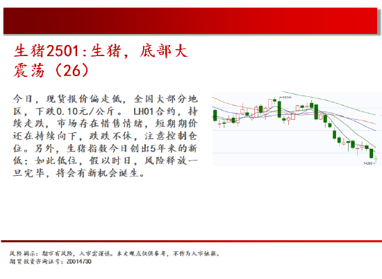 2024年12月13日中国股市及商品期货市场深度分析