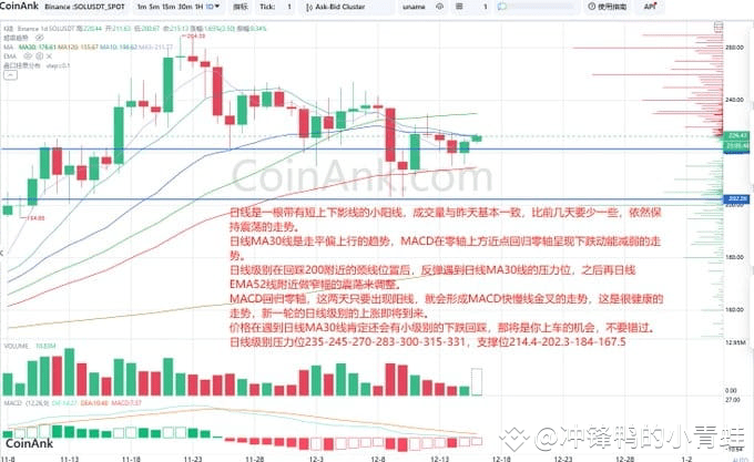 SOL价格深度分析：震荡调整后的上涨潜力