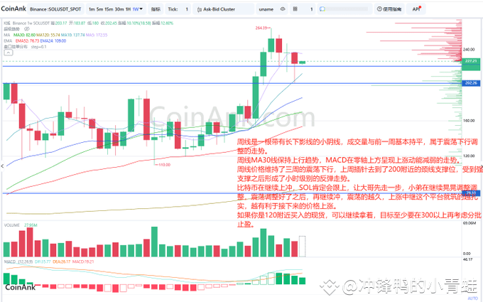 SOL价格深度分析：震荡调整后的上涨潜力